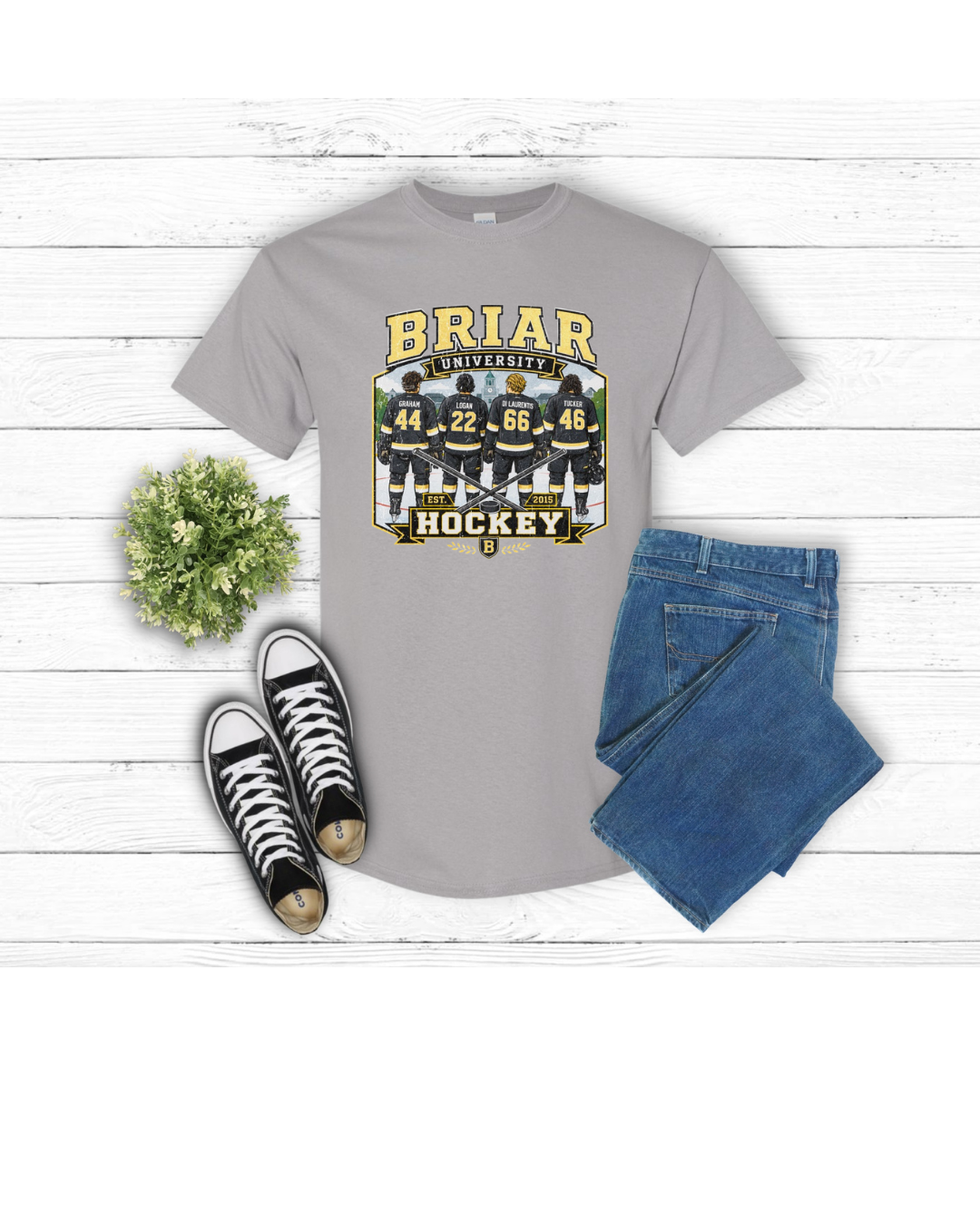 B.R.I.A.R U